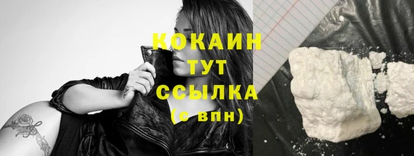 дмт Дмитров