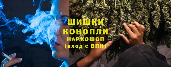 дмт Дмитров