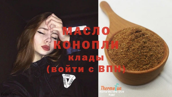 дмт Дмитров