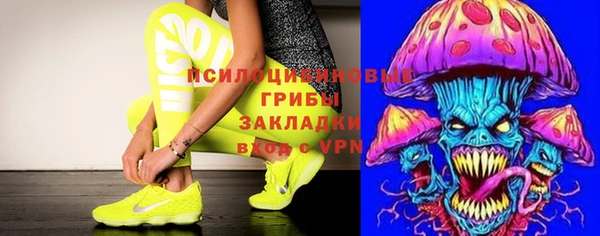 a pvp Дмитровск