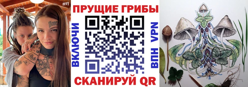 Псилоцибиновые грибы GOLDEN TEACHER  Купить где  Райчихинск 